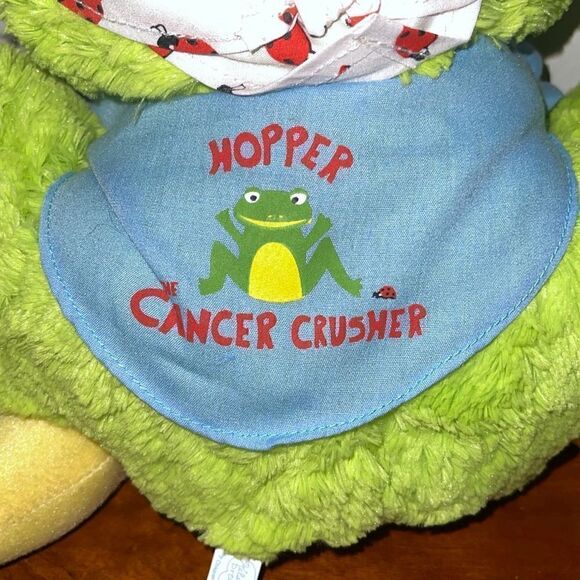 Hopper The Cancer Crusher 11” Frog Plush by Kelsey’s Dream Helping Kids in Need - Picture 10 of 16